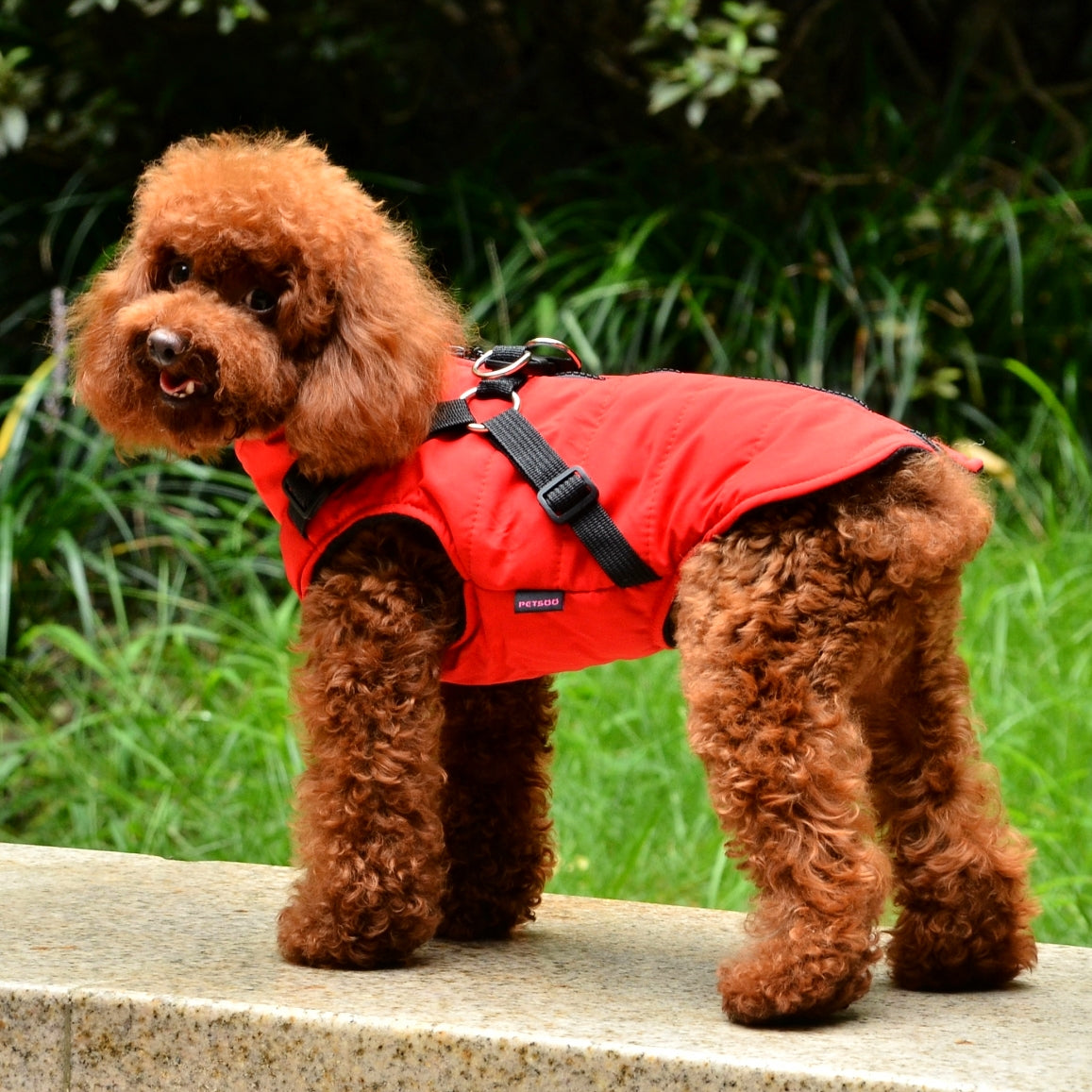 Warm Padded Dog Vest with Harness for Small and Medium Dogs - Red Coat for Extra Comfort and Security Christmas Gift