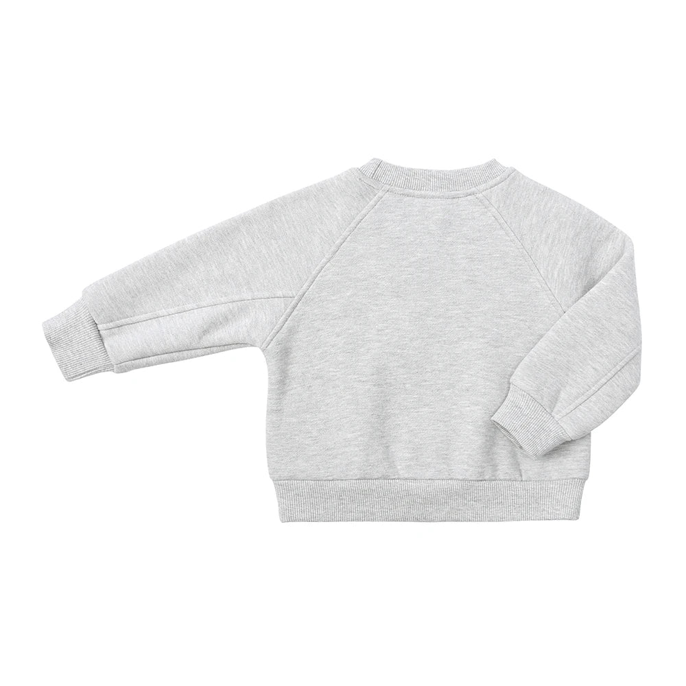 2025 New Winter Kids Boys Girls Clothes 2 Pieces Tracksuit Outfits Set Solid Top Sweatshirt+Elastic Joggers Shorts Causal Suit