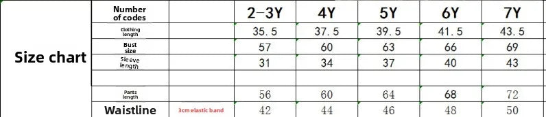 Kids Girls Two-piece Set Butterfly Appliqué Top with Cargo Pants Children Autumn and Winter Trousers New 2pcs/set Fashionable