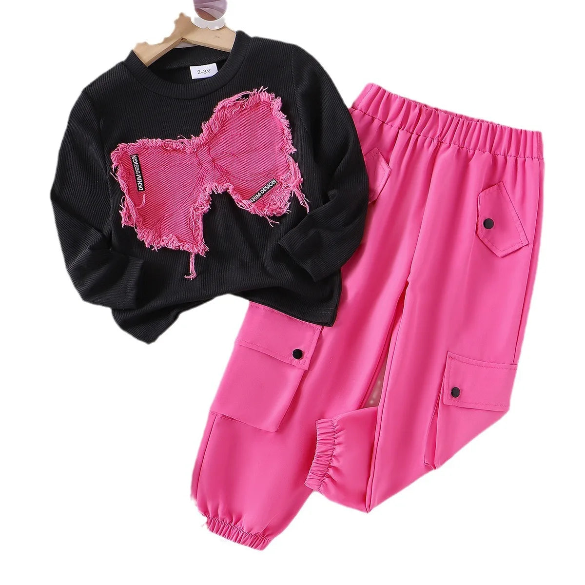 Kids Girls Two-piece Set Butterfly Appliqué Top with Cargo Pants Children Autumn and Winter Trousers New 2pcs/set Fashionable